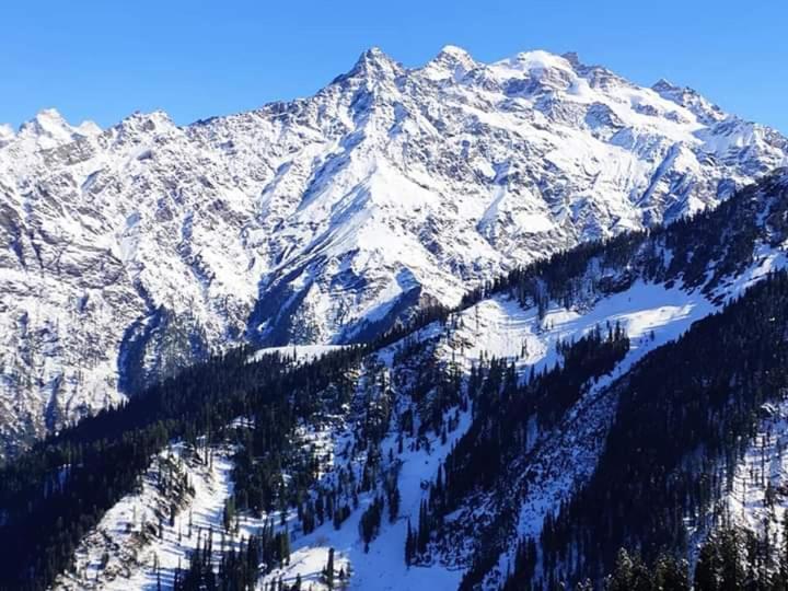 Kasol Wooden Cottage Εξωτερικό φωτογραφία